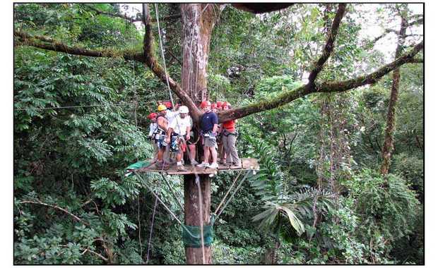 Luxury Zip-lining And Canopy Flying