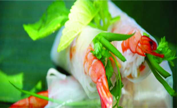 Luxury 7 -13 Day Vietnam Culinary Tour - Learning from Chefs
