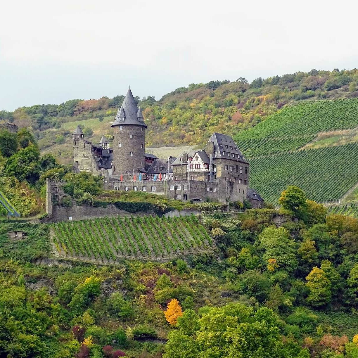 Chorengel-mosel-castle-winery-event-2461046-1600x