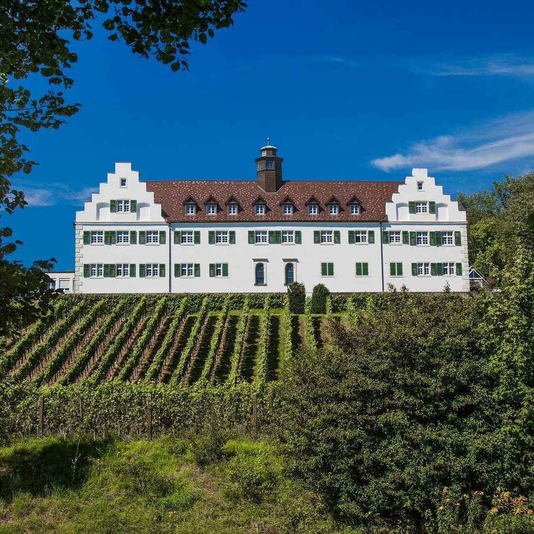 Derks24-castle-hersberg-vineyard-event-2661971-1600x