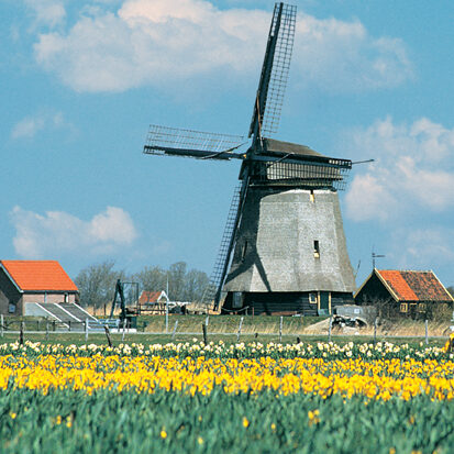 Windmills 6 Low Res Amsterdam