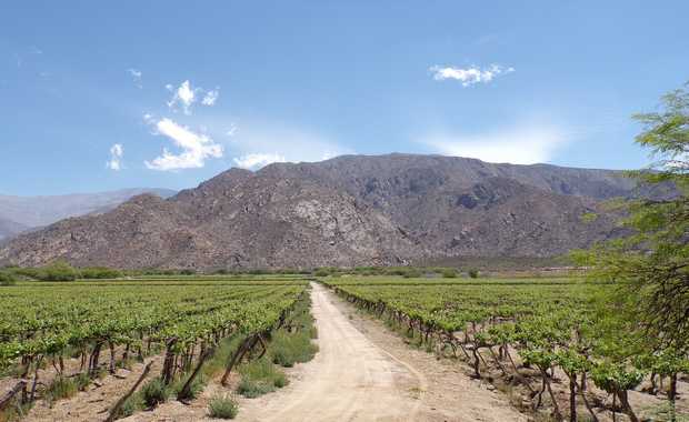 Luxury 7 Day Culinary & Wine In The Vineyards of Argentina