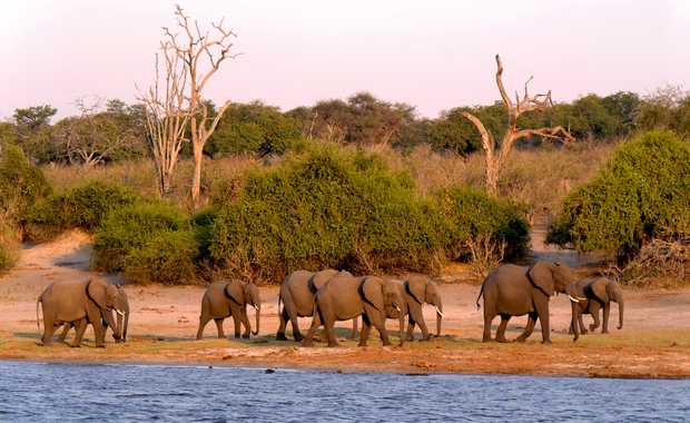 Luxury 12 Day Africa – Botswana’s Timeless Wilderness