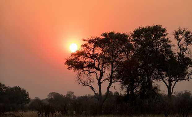 Luxury Africa Excursion – Not To Be Missed - Ballooning Over Africa