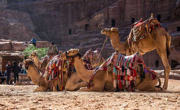 Luxury 21 Day Middle East Immersion – Tour Egypt, Jordan & Israel