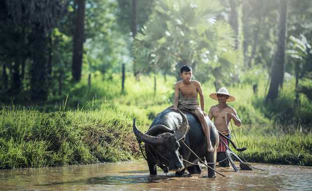 Luxury Myanmar Escorted Itineraries