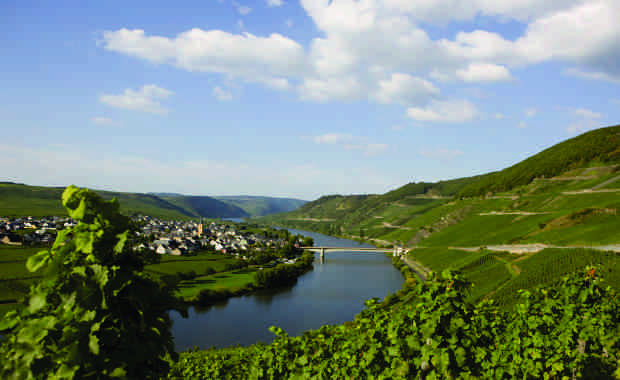 Luxury The Danube Flow - 8 Day Frankfurt To Regenesburg