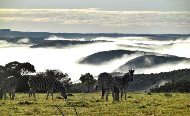 Luxury South Africa Journeys And Itineraries